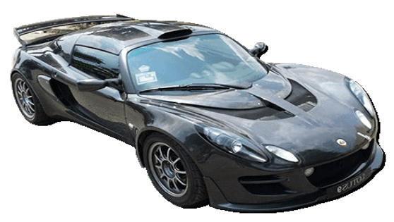 lotus